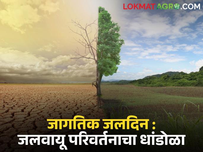 latest news World Water Day Fighting climate change and Farming on low water | जागतिक जलदिन : शेतीमध्ये तंत्रज्ञान वापराल, पाण्याची बचत कराल तर उत्पादनात वाढ निश्चित