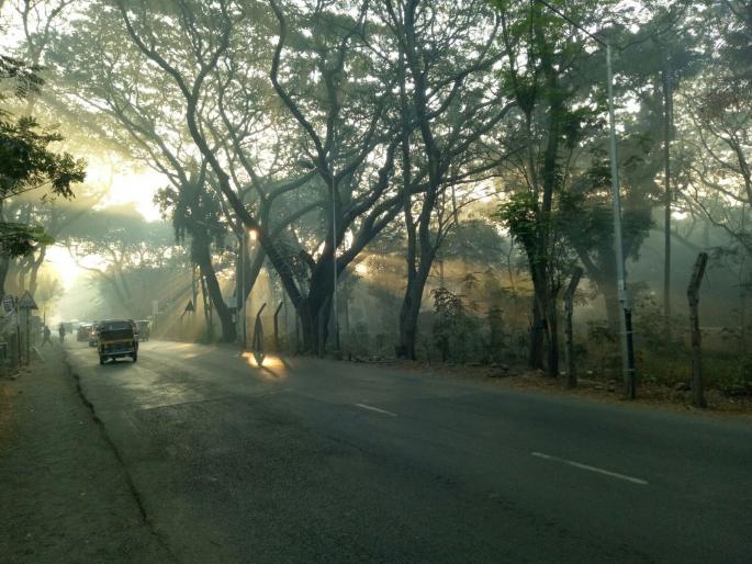 Ten acre plot of ‘Aarey’ in Worli for International Tourism Center | वरळीतील ‘आरे’चा दहा एकराचा भूखंड आंतरराष्ट्रीय पर्यटन केंद्रासाठी Ten acre plot of ‘Aarey’ in Worli for International Tourism Center | वरळीतील ‘आरे’चा दहा एकराचा भूखंड आंतरराष्ट्रीय पर्यटन केंद्रासाठी