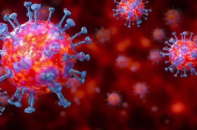 CoronaVirus: Three more positive in Washim district; Patient 116 | CoronaVirus : वाशिम जिल्ह्यात आणखी तीन पॉझिटिव्ह; रुग्ण ११६ CoronaVirus: Three more positive in Washim district; Patient 116 | CoronaVirus : वाशिम जिल्ह्यात आणखी तीन पॉझिटिव्ह; रुग्ण ११६