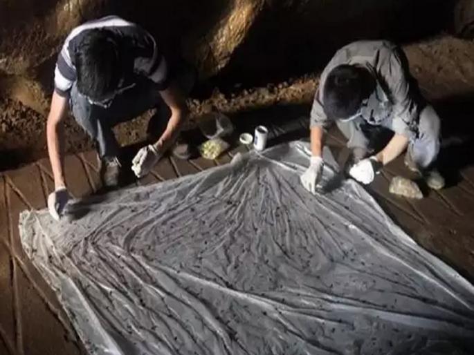 Scientists at Wuhan lab admit being bitten while collecting samples in cave which is home to Covid infected bats | Wuhan Lab च्या वैज्ञानिकाला रहस्यमय गुफेत वटवाघुळाचा चावा, कोरोनाबाबत मोठा गौप्यस्फोट Scientists at Wuhan lab admit being bitten while collecting samples in cave which is home to Covid infected bats | Wuhan Lab च्या वैज्ञानिकाला रहस्यमय गुफेत वटवाघुळाचा चावा, कोरोनाबाबत मोठा गौप्यस्फोट