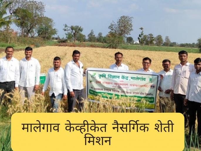 Latest News Natural Farming Mission Training Program at Malegaon Agricultural Science Centre | मालेगाव कृषी विज्ञान केंद्रात नैसर्गिक शेती मिशन प्रशिक्षण, शेतकऱ्यांचा सहभाग 
