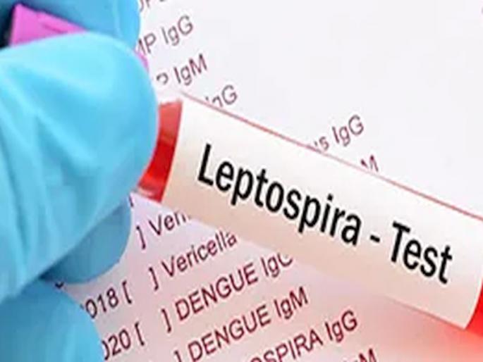 First victim in Mumbai this monsoon; Death of a young man due to leptospirosis | या पावसाळ्यातला मुंबईत पहिला बळी; लेप्टोस्पायरोसिसमुळे तरुणाचा मृत्यू First victim in Mumbai this monsoon; Death of a young man due to leptospirosis | या पावसाळ्यातला मुंबईत पहिला बळी; लेप्टोस्पायरोसिसमुळे तरुणाचा मृत्यू