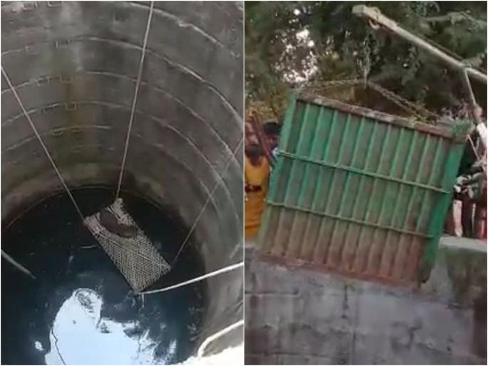 Saving the life of a leopard that fell into a well; Success to Forest Department after two hours of effort in Niphad | VIDEO : मौजे सुकेणेत विहिरीत पडलेल्या बिबट्याला जीवदान; दोन तासांच्या प्रयत्नानंतर वन विभागाला यश Saving the life of a leopard that fell into a well; Success to Forest Department after two hours of effort in Niphad | VIDEO : मौजे सुकेणेत विहिरीत पडलेल्या बिबट्याला जीवदान; दोन तासांच्या प्रयत्नानंतर वन विभागाला यश