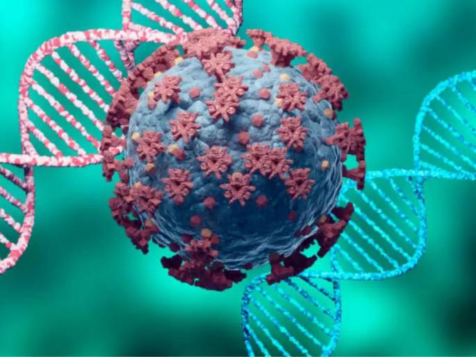 At present, the thrust of Corona's 'XBB.1.16 variant'; There is no chance of a big wave | सध्या कोरोनाच्या ‘एक्सबीबी.१.१६ व्हेरिएंट’चा जोर; मोठ्या लाटेची शक्यता नाही At present, the thrust of Corona's 'XBB.1.16 variant'; There is no chance of a big wave | सध्या कोरोनाच्या ‘एक्सबीबी.१.१६ व्हेरिएंट’चा जोर; मोठ्या लाटेची शक्यता नाही