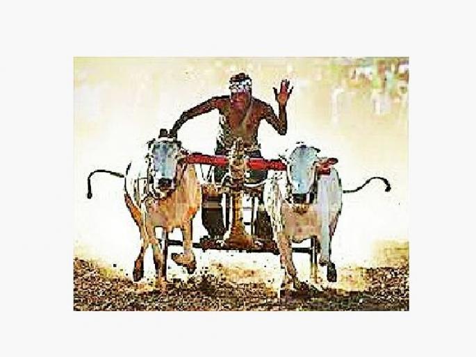 famous 150 year old shankarpat of talegaon will be started | तळेगावातील सुप्रसिद्ध शंकरपट होणार सुरू; बैलगाडा धावणार famous 150 year old shankarpat of talegaon will be started | तळेगावातील सुप्रसिद्ध शंकरपट होणार सुरू; बैलगाडा धावणार