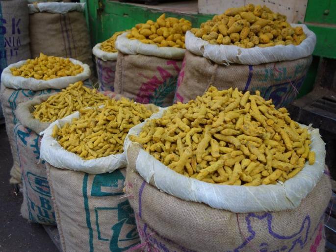 Turmeric at 11,700; Soybeans also landed | हळद ११,७०० वर; सोयाबीनही उतरले Turmeric at 11,700; Soybeans also landed | हळद ११,७०० वर; सोयाबीनही उतरले