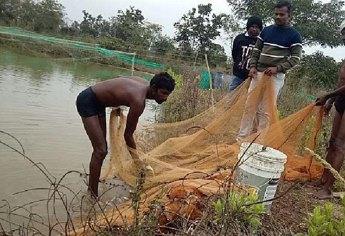 a young farmer and teacher sets an example by doing fish farming | बेरोजगारीवर मात, युवा शेतकऱ्याने फुलवली मत्स्य शेती; वर्षाला पाच लाखांचे उत्पन्न! a young farmer and teacher sets an example by doing fish farming | बेरोजगारीवर मात, युवा शेतकऱ्याने फुलवली मत्स्य शेती; वर्षाला पाच लाखांचे उत्पन्न!