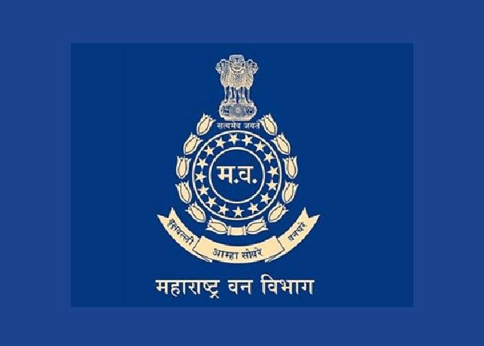 Billions scammed by showing bogus labour in balharshah forest division | बोगस मजूर दाखवून कोट्यवधीचा घोटाळा, तीन वर्षे केली लूट Billions scammed by showing bogus labour in balharshah forest division | बोगस मजूर दाखवून कोट्यवधीचा घोटाळा, तीन वर्षे केली लूट