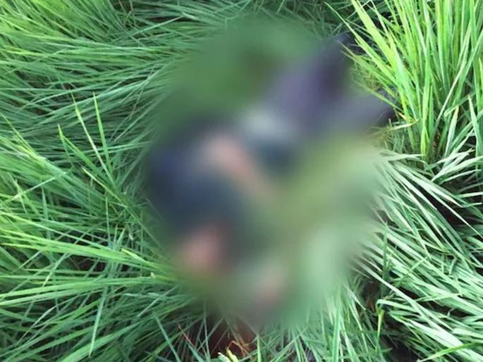 BSF's major operation on Punjab border; Killed five Pakistani intruders | पंजाब बॉर्डरवर BSF ची मोठी कारवाई; पाच पाकिस्तानी घुसखोरांना ठार केले BSF's major operation on Punjab border; Killed five Pakistani intruders | पंजाब बॉर्डरवर BSF ची मोठी कारवाई; पाच पाकिस्तानी घुसखोरांना ठार केले