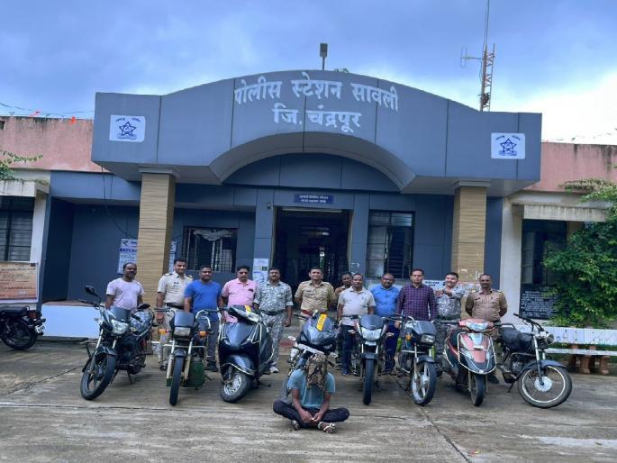 Savli Police crackdown the bike thief; eight bikes seized | अट्टल दुचाकी चोरट्याच्या सावली पोलिसांनी आवळल्या मुसक्या, आठ दुचाकी जप्त Savli Police crackdown the bike thief; eight bikes seized | अट्टल दुचाकी चोरट्याच्या सावली पोलिसांनी आवळल्या मुसक्या, आठ दुचाकी जप्त