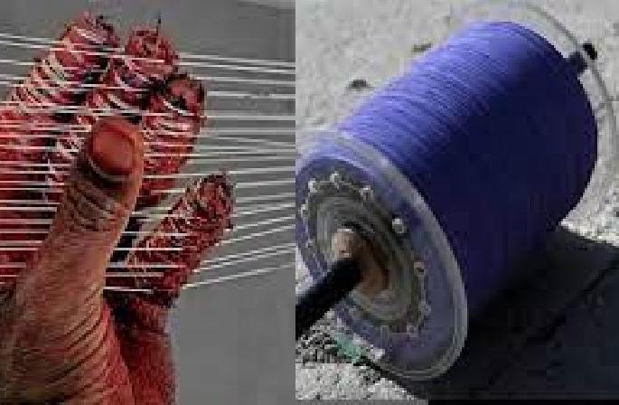 38 people were killed in Nagpur due to nylon manja in 15 years | १५ वर्षात नागपुरात ३८ तर राज्यात १८२ मांजाबळी 38 people were killed in Nagpur due to nylon manja in 15 years | १५ वर्षात नागपुरात ३८ तर राज्यात १८२ मांजाबळी