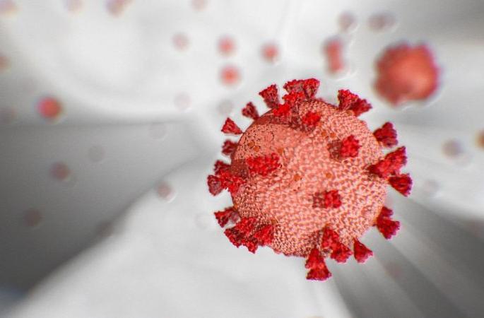 CoronaVirus in Akola: four positives throughout the day; Discharge to four; Total number of patients 261 | CoronaVirus in Akola : दिवसभरात चार पॉझिटिव्ह; चौघांना डिस्चार्ज; एकूण रुग्णसंख्या २६१