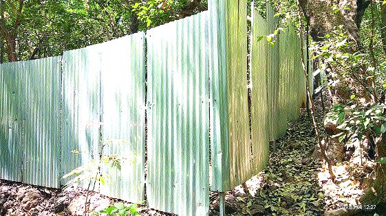 Encroachment on forest lands | वनखात्याच्या जमिनींंवर अतिक्रमण Encroachment on forest lands | वनखात्याच्या जमिनींंवर अतिक्रमण