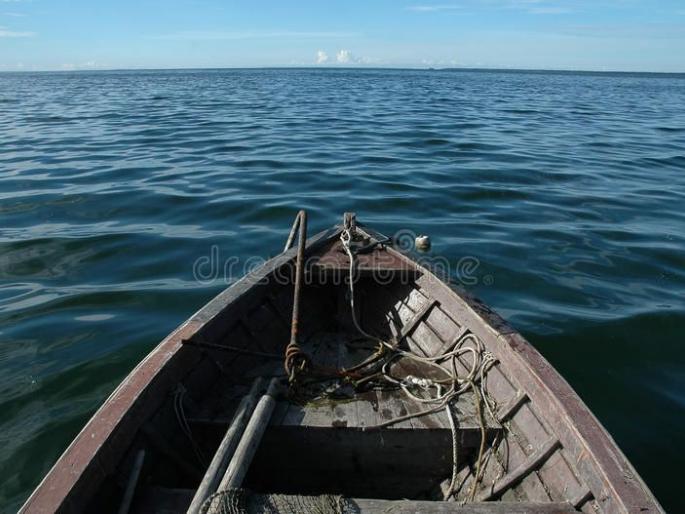 550 sailors trapped in Nargol port | नारगोल बंदरात अडकले राज्यातील ५५० खलाशी 550 sailors trapped in Nargol port | नारगोल बंदरात अडकले राज्यातील ५५० खलाशी