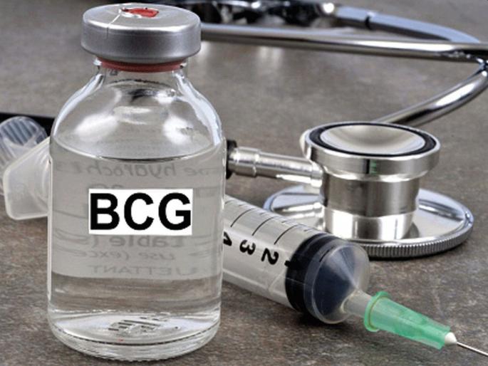 CoronaVirus BCG vaccine will save India from Corona; new research hrb | CoronaVirus कोरोनाविरोधातील लढाईत बीसीजी लस बनणार भारतीयांची 'ढाल'; १९४९ पासून लसीकरण CoronaVirus BCG vaccine will save India from Corona; new research hrb | CoronaVirus कोरोनाविरोधातील लढाईत बीसीजी लस बनणार भारतीयांची 'ढाल'; १९४९ पासून लसीकरण