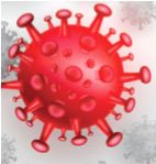 Corona restrictions on huts in Mumbai will be lifted | मुंबईतील चाळी-झोपड्यांवरील कोरोनाचे निर्बंध हटणार Corona restrictions on huts in Mumbai will be lifted | मुंबईतील चाळी-झोपड्यांवरील कोरोनाचे निर्बंध हटणार