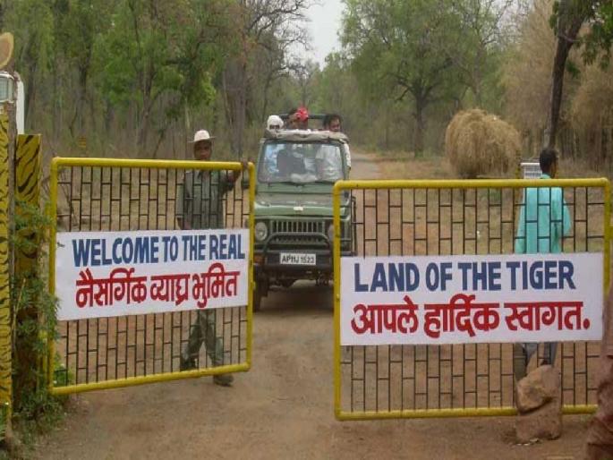 Tadoba's Mohrli tourism gate to become more attractive, cost 7.42 crores | ताडोबाचे मोहर्ली पर्यटन गेट होणार अधिक आकर्षिक, ७.४२ कोटींचा खर्च Tadoba's Mohrli tourism gate to become more attractive, cost 7.42 crores | ताडोबाचे मोहर्ली पर्यटन गेट होणार अधिक आकर्षिक, ७.४२ कोटींचा खर्च