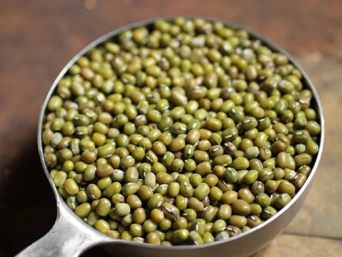 Moong, Udid will get profit to farmers; The market will remain bullish due to decrease in income | मूग, उडीद करणार मालामाल; आवक घटल्याने बाजार राहणार तेजीत Moong, Udid will get profit to farmers; The market will remain bullish due to decrease in income | मूग, उडीद करणार मालामाल; आवक घटल्याने बाजार राहणार तेजीत