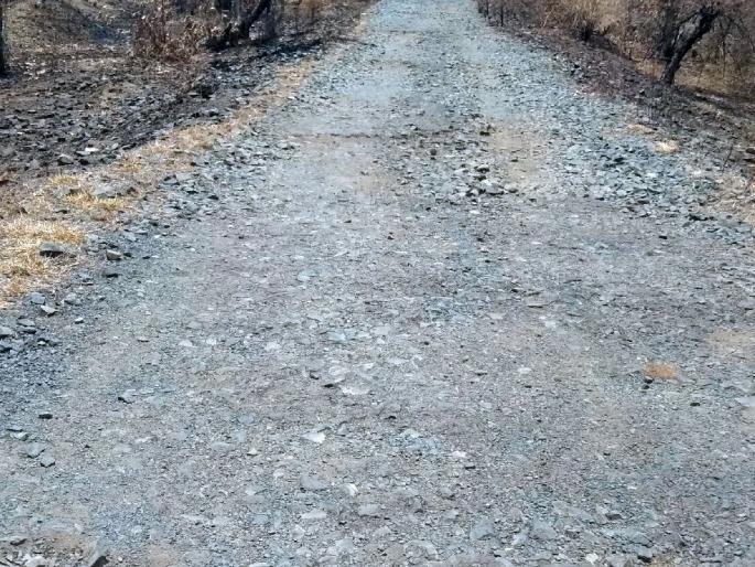 Even if it rains, the roads are not repaired; The main road is shiny and there are pits in the countryside! | पावसाळा आला तरी रस्त्यांची दुरुस्ती नाही; मुख्यमार्ग चकाचक अन् ग्रामीणमध्ये खड्डेच खड्डे !