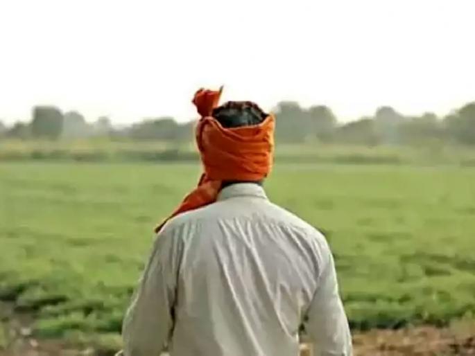 Crop insurance is a daydream for farmers with forest rights! | वनहक्क जमीनधारक शेतकऱ्यांसाठी पीक विमा दिवास्वप्न ! Crop insurance is a daydream for farmers with forest rights! | वनहक्क जमीनधारक शेतकऱ्यांसाठी पीक विमा दिवास्वप्न !