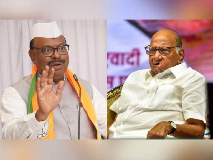 Whoever threatened Sharad Pawar should be arrested immediately - Chandrasekhar Bawankule | पवारांना धमकी देणाऱ्याला तत्काळ अटक व्हावी - चंद्रशेखर बावनकुळे
