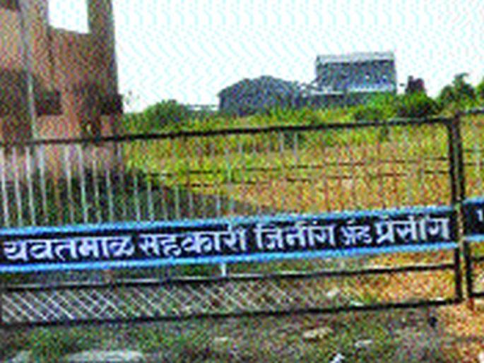 Use of yavatmal ginning builders, tender management of the district bank and goons | यवतमाळ जिनिंग बिल्डरांच्या घशात, जिल्हा बँकेच्या निविदा मॅनेज, गुंडांचाही वापर Use of yavatmal ginning builders, tender management of the district bank and goons | यवतमाळ जिनिंग बिल्डरांच्या घशात, जिल्हा बँकेच्या निविदा मॅनेज, गुंडांचाही वापर