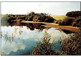 Need for groundwater testing of Yadrav, polluted water in industrial estates | यड्राव औद्योगिक वसाहत परिसरातील जलस्रोतांच्या भूजल परिक्षणाची गरज, पाणी प्रदूषित