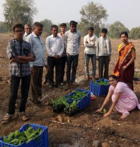 The girl's birthday was celebrated by planting of banana plant at Sakli in Yaval taluka | यावल तालुक्यातील साकळी येथे केळी बाग लागवड करून साजरा केला मुलीचा वाढदिवस The girl's birthday was celebrated by planting of banana plant at Sakli in Yaval taluka | यावल तालुक्यातील साकळी येथे केळी बाग लागवड करून साजरा केला मुलीचा वाढदिवस