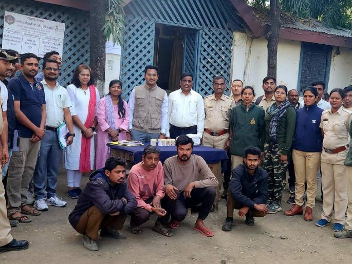 Four arrested for stealing dead tiger's organs | मृत वाघाचे अवयव चोरणाऱ्या चौघांना ठोकल्या बेड्या, वनविभागाची कारवाई Four arrested for stealing dead tiger's organs | मृत वाघाचे अवयव चोरणाऱ्या चौघांना ठोकल्या बेड्या, वनविभागाची कारवाई