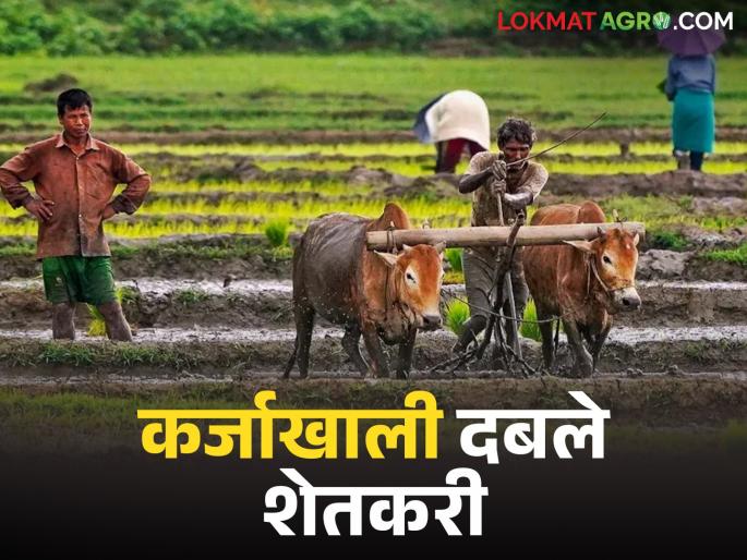 latest news Kharif Crop Damage : Kharif devastated by heavy rains; Farmers under debt of Rs 1300 crores read in details | Kharif Crop Damage : अतिवृष्टीने उद्ध्वस्त खरीप; १३०० कोटींच्या कर्जाखाली दबलेले शेतकरी वाचा सविस्तर