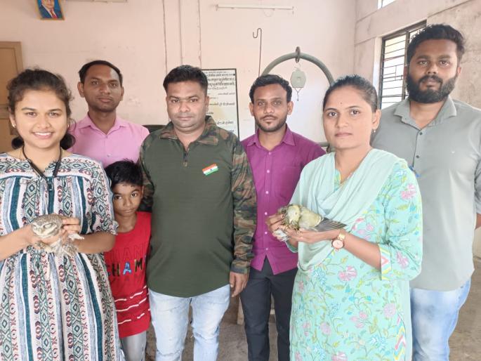 Yavatmal Giving life to bird found in storm | यवतमाळ : वादळात सापडलेल्या ‘पिंगळा’ला जीवनदान Yavatmal Giving life to bird found in storm | यवतमाळ : वादळात सापडलेल्या ‘पिंगळा’ला जीवनदान