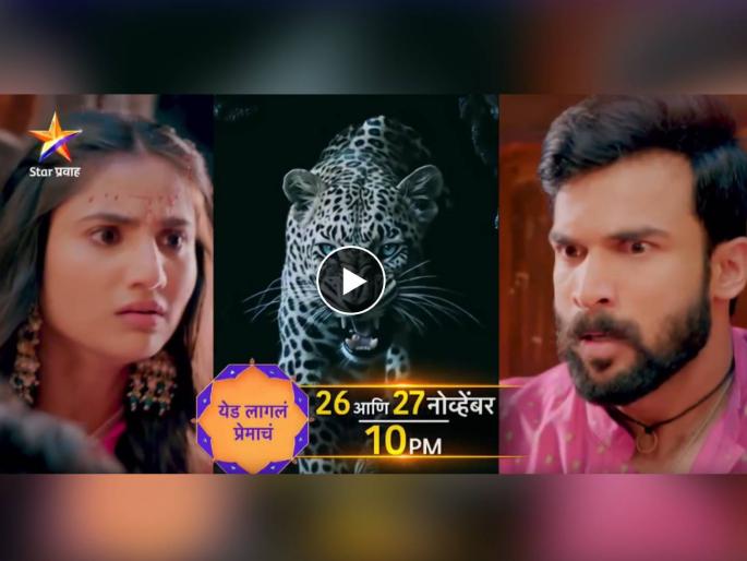 yed lagal premach serial leopard enter in raya and manjiri village wedding ceremony video | "काय राव आता सिरियलमध्ये पण बिबट्या आला का?", नव्या प्रोमोमुळे राया-मंजिरीची मालिका ट्रोल yed lagal premach serial leopard enter in raya and manjiri village wedding ceremony video | "काय राव आता सिरियलमध्ये पण बिबट्या आला का?", नव्या प्रोमोमुळे राया-मंजिरीची मालिका ट्रोल
