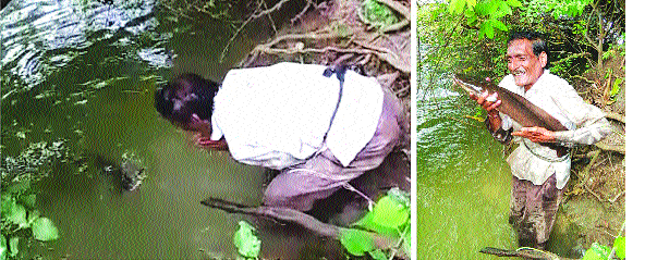 Story of the human well in human wells | माणुसकीच्या खोल विहिरीतील माशाची कहाणी Story of the human well in human wells | माणुसकीच्या खोल विहिरीतील माशाची कहाणी