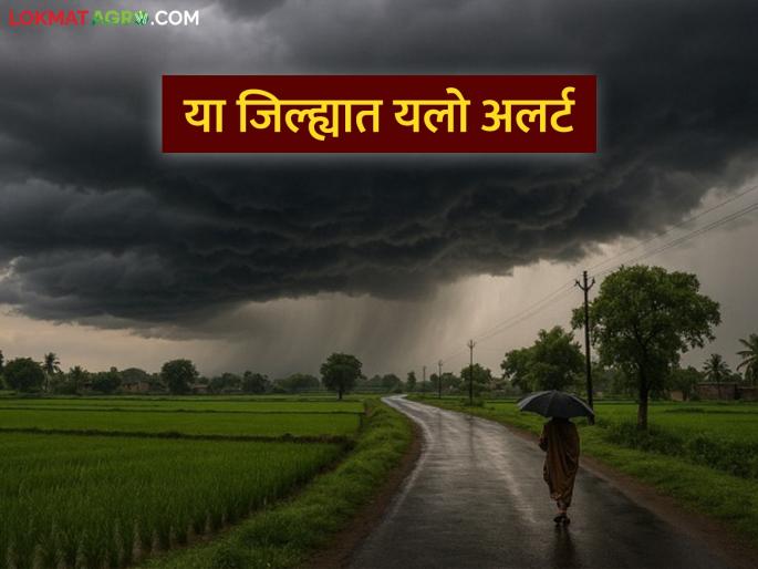 After a long wait, a yellow rain alert has been issued for this district of the state | दीर्घ प्रतीक्षेनंतर राज्यातील 'या' जिल्ह्याला पावसाचा येलो अलर्ट जारी