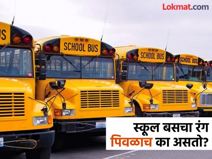 Why school bus colour is yellow always know the reason | शाळेच्या बसचा रंग नेहमी पिवळाच का? यामागे आहे खास कारण, जे आपल्याला माहीत असावं! Why school bus colour is yellow always know the reason | शाळेच्या बसचा रंग नेहमी पिवळाच का? यामागे आहे खास कारण, जे आपल्याला माहीत असावं!