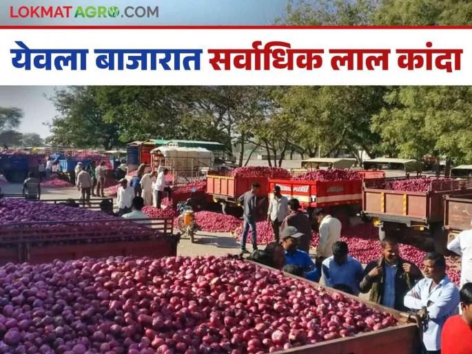 Onion Market Rate: What is the status of red onion in the state today: Read today's onion market rate | Onion Market Rate : राज्यात लाल कांद्याची आज काय आहे स्थिती: वाचा आजचे कांदा बाजारभाव Onion Market Rate: What is the status of red onion in the state today: Read today's onion market rate | Onion Market Rate : राज्यात लाल कांद्याची आज काय आहे स्थिती: वाचा आजचे कांदा बाजारभाव