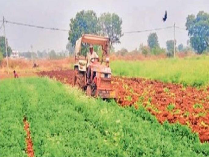 Farmer ploughs into coriander crop as price not being met | कष्टाने पिकविलेली कोथिंबीर दोन रुपयांत विकायची कशी?; वैतागून शेतकऱ्याने फिरवला नांगर Farmer ploughs into coriander crop as price not being met | कष्टाने पिकविलेली कोथिंबीर दोन रुपयांत विकायची कशी?; वैतागून शेतकऱ्याने फिरवला नांगर