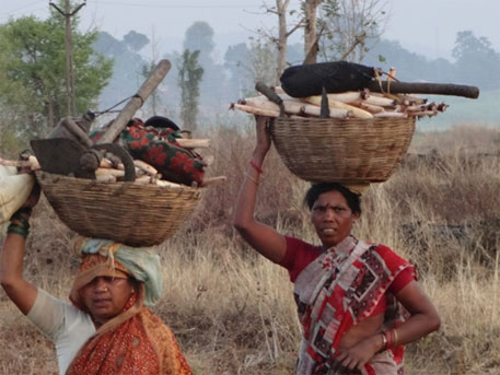 4,000 rs distributed each to 18 lakh tribals | १८ लाख आदिवासींना प्रत्येकी चार हजारांची मदत 4,000 rs distributed each to 18 lakh tribals | १८ लाख आदिवासींना प्रत्येकी चार हजारांची मदत
