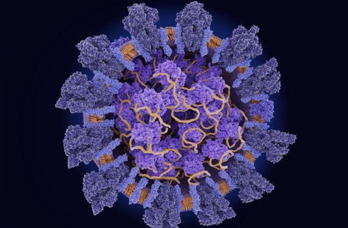 Coronavirus in Bhandara; Ten killed in Bhandara district, 550 positive | Coronavirus in Bhandara; भंडारा जिल्ह्यात दहा जणांचा मृत्यू, ५५० पाॅझिटिव्ह Coronavirus in Bhandara; Ten killed in Bhandara district, 550 positive | Coronavirus in Bhandara; भंडारा जिल्ह्यात दहा जणांचा मृत्यू, ५५० पाॅझिटिव्ह