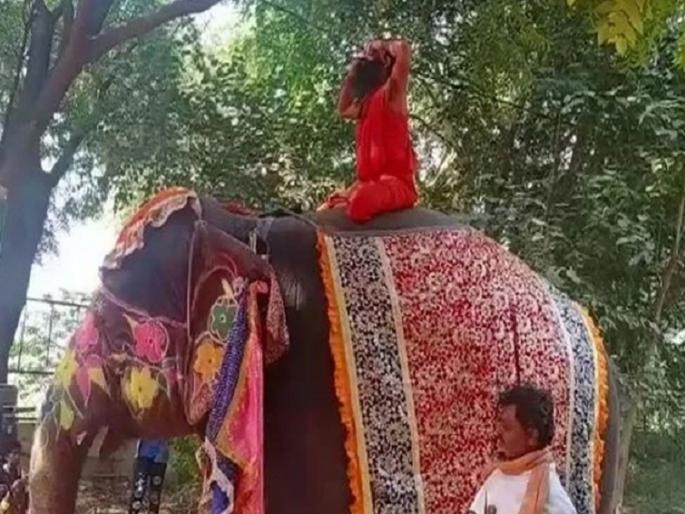 yoga guru baba ramdev fall from elephant during yog? | हत्तीवर बसून योग करताना बाबा रामदेवांचा तोल गेला अन्..., व्हिडीओ व्हायरल  yoga guru baba ramdev fall from elephant during yog? | हत्तीवर बसून योग करताना बाबा रामदेवांचा तोल गेला अन्..., व्हिडीओ व्हायरल