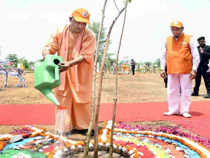 Yogi Adityanath government to plant 15 lakh trees in UP; Nodal officers appointed in each district | योगी सरकार यूपीमध्ये १५ लाख झाडे लावणार; प्रत्येक जिल्ह्यात नोडल अधिकार्यांची नेमणूक Yogi Adityanath government to plant 15 lakh trees in UP; Nodal officers appointed in each district | योगी सरकार यूपीमध्ये १५ लाख झाडे लावणार; प्रत्येक जिल्ह्यात नोडल अधिकार्यांची नेमणूक
