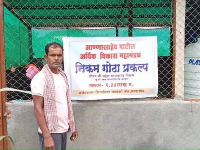 This farmer earns guaranteed income of 25 to 30 thousand per month from animal husbandry, know how | हा शेतकरी पशुपालनातून कमावतो महिन्याकाठी २५ ते ३० हजारांचे हमखास उत्पन्न, जाणून घ्या कसे This farmer earns guaranteed income of 25 to 30 thousand per month from animal husbandry, know how | हा शेतकरी पशुपालनातून कमावतो महिन्याकाठी २५ ते ३० हजारांचे हमखास उत्पन्न, जाणून घ्या कसे