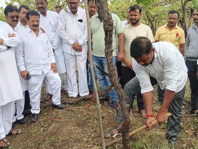 In front of former minister Jayant Patil, the farmer used an ax on the vineyard in nashik | माजी मंत्री जयंत पाटील यांच्यासमोरच शेतकऱ्याने द्राक्षबागेवर चालवली कुऱ्हाड In front of former minister Jayant Patil, the farmer used an ax on the vineyard in nashik | माजी मंत्री जयंत पाटील यांच्यासमोरच शेतकऱ्याने द्राक्षबागेवर चालवली कुऱ्हाड