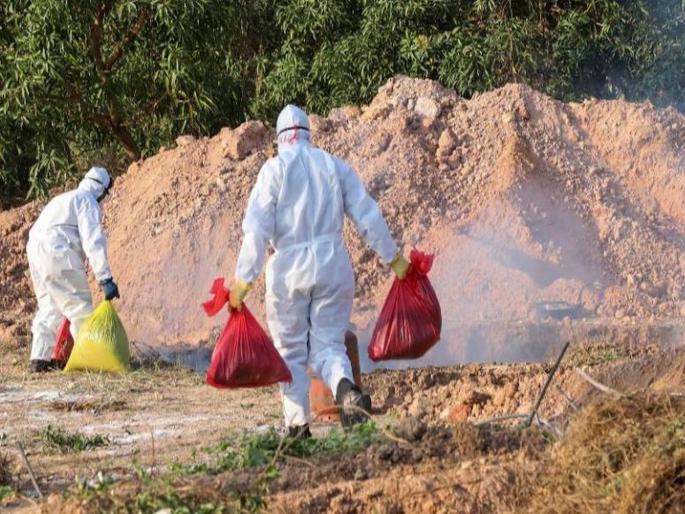 Japan worst bird flu outbreak spreads in 10 japanese state | कोरोनानंतर 'या' देशात नव्या  माहामारीचा कहर; १० राज्यातील लोक आजाराच्या विळख्यात