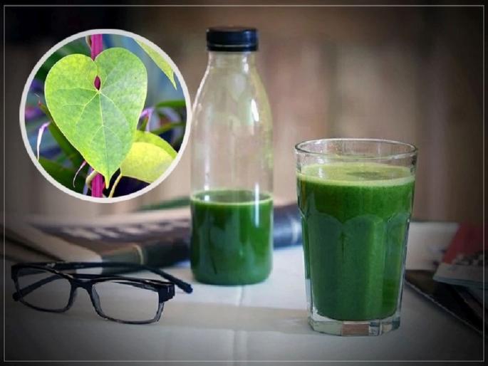 Giloy side effects when you have excessive intake to boost immunity | इम्यूनिटी वाढवणाऱ्या गुळवेलाचे साईड इफेक्ट्ससुद्धा माहीत करून घ्या; अन्यथा 'असं' पडेल महागात