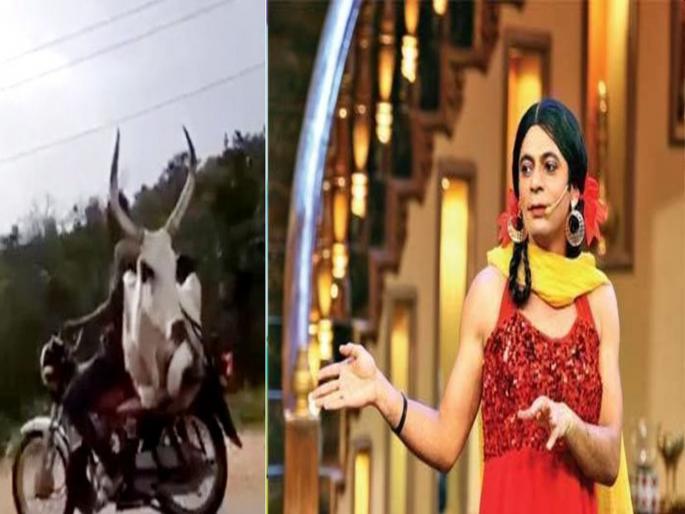 Man who takes ox on his bike video viral on internet shared by Sunil grover | काय सांगता! थेट बैलाला डबलसीट घेऊन प्रवासाला निघाला 'हा' पठ्ठ्या; पाहा व्हायरल व्हिडीओ Man who takes ox on his bike video viral on internet shared by Sunil grover | काय सांगता! थेट बैलाला डबलसीट घेऊन प्रवासाला निघाला 'हा' पठ्ठ्या; पाहा व्हायरल व्हिडीओ
