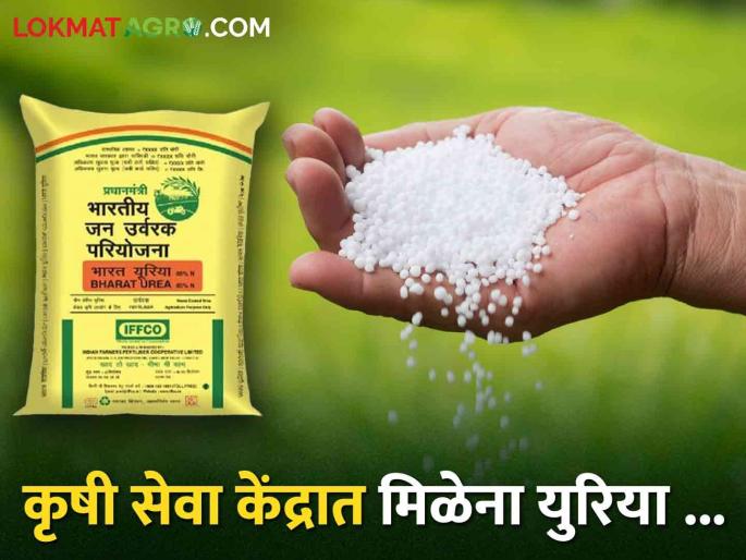 Arbitrariness of agricultural service center operators; Farmers are in trouble due to lack of urea | कृषी सेवा केंद्र चालकांची मनमानी; युरिया मिळत नसल्याने शेतकरी अडचणीत