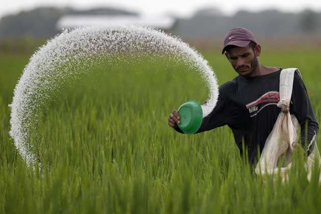 Now farmers will get only 50 bags of fertilizer per month; Consolation to the agri merchants | आता शेतकऱ्यांना महिन्याला ५० बॅगच खत मिळणार; कृषी व्यापाऱ्यांना दिलासा Now farmers will get only 50 bags of fertilizer per month; Consolation to the agri merchants | आता शेतकऱ्यांना महिन्याला ५० बॅगच खत मिळणार; कृषी व्यापाऱ्यांना दिलासा