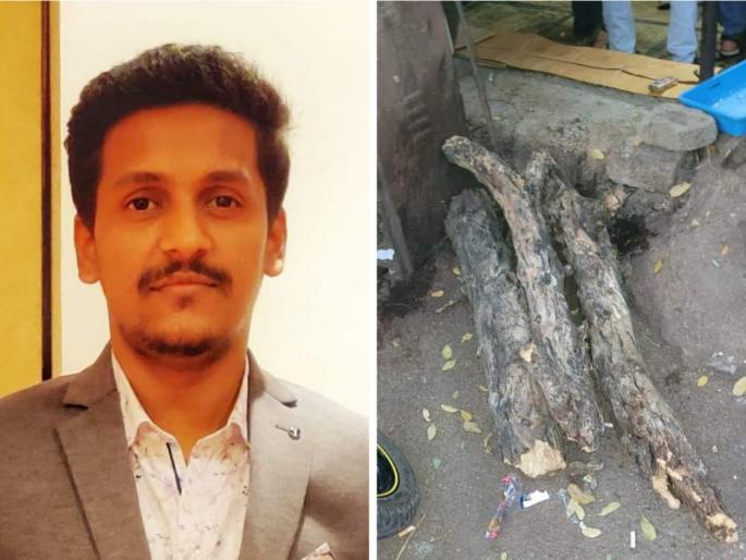 The unfortunate end of the young man on the evening of Tripurari Purnima Death by tree branch falling on head | त्रिपुरारी पौर्णिमेच्या सायंकाळी तरुणाचा दुर्दैवी अंत; डोक्यात झाडाची फांदी कोसळून मृत्यू The unfortunate end of the young man on the evening of Tripurari Purnima Death by tree branch falling on head | त्रिपुरारी पौर्णिमेच्या सायंकाळी तरुणाचा दुर्दैवी अंत; डोक्यात झाडाची फांदी कोसळून मृत्यू
