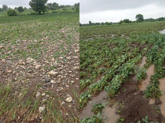 Heavy rains hit five mandals in Washim district; after flood lands along with the crops were washed away | वाशिम जिल्ह्यातील पाच मंडळांना अतिवृष्टीचा तडाखा; नदी, नाल्यांना पूर आलाच पण  पिकांसह जमिनी खरडल्या